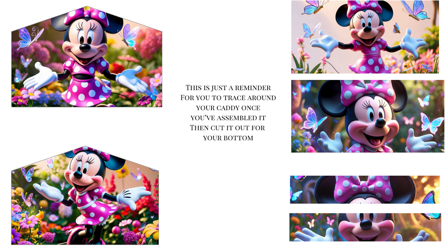 Self Adhesive Printed Package